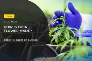 how is thca flower made?