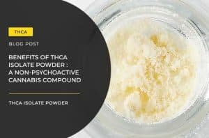 thca isolate powder post
