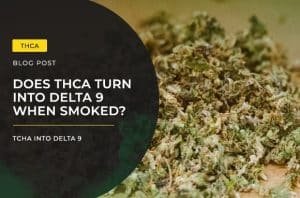 does thca turn into delta 9