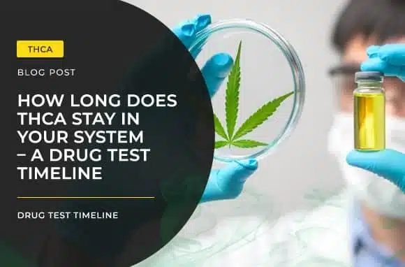 How Long Does THCA Stay In Your System