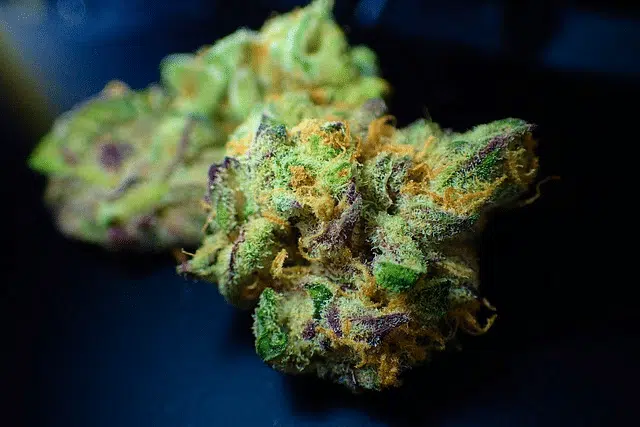 You can activate the psychoactive effects of flower buds through a process called decarboxylation.