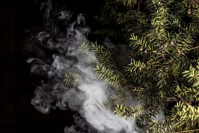 There are still conflicting laws surrounding cannabis products.