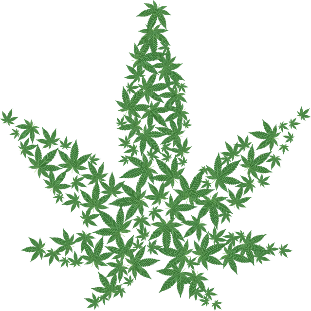 THCA is a non-psychoactive  form of cannabis.