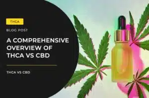 A Comprehensive Overview of THCA vs CBD