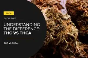 Understanding the Difference: THC vs THCA