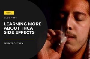 Learning More About THCA Side Effects