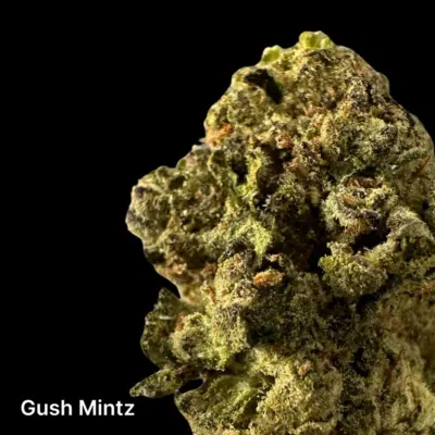 Gush-Mintz-2-pic