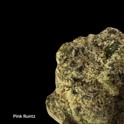 Pink-Runtz-2-Pic-