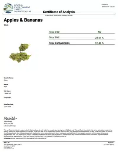 Apple and Banana (28.51%) THC-A - Image 3