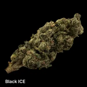 black-ice-1