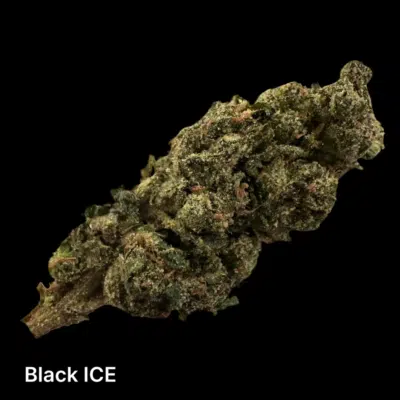 black-ice-1