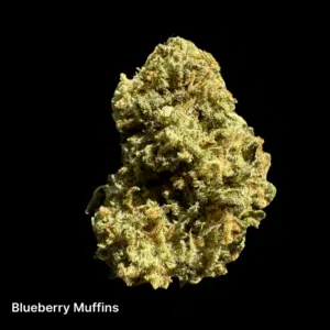 blueberry-muffins