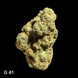 g41