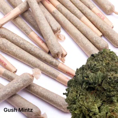 gush-mintz-pre-rolls