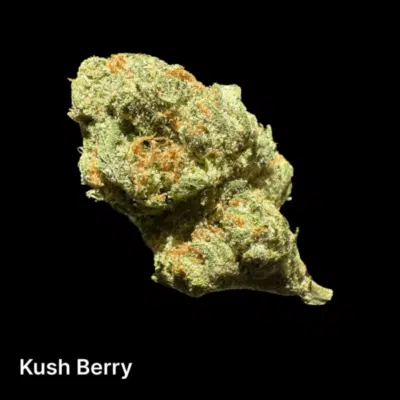 kush-berry-pic2-600x600